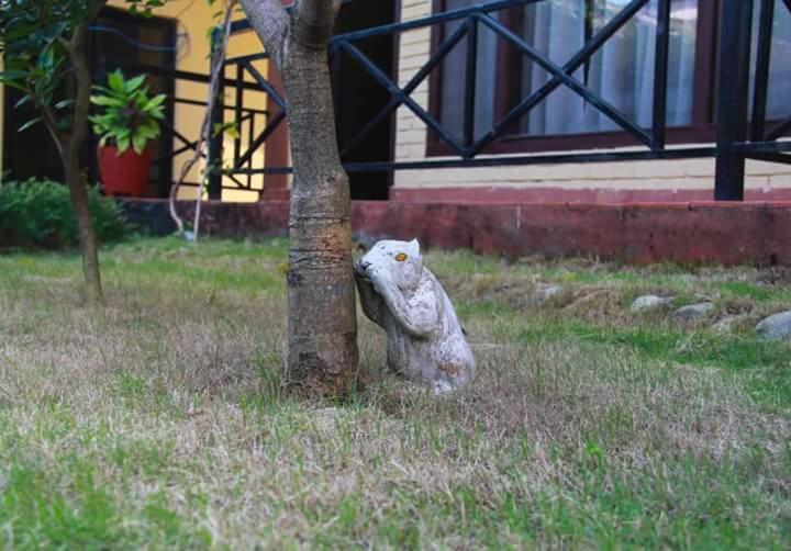 Hotel Homeland Pokhara Kültér fotó